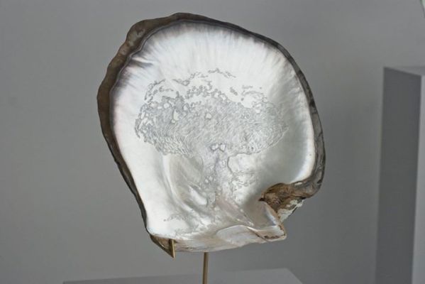 Thomas Tronel-Gauthier, Récit d'Eponge, 2014