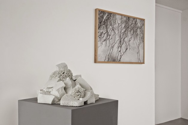 Thomas Tronel-Gauthier, Récit d'Eponge, 2014.