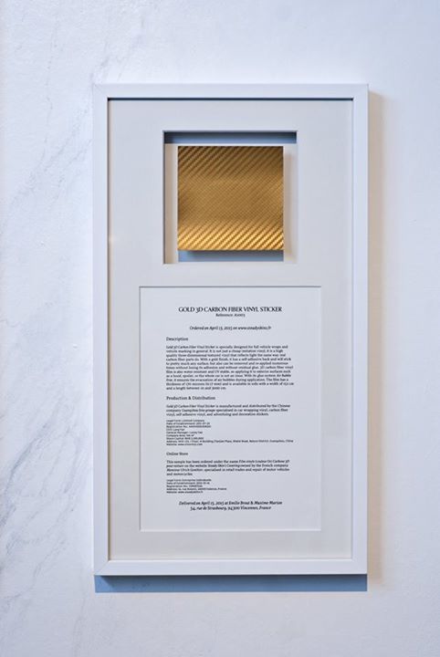 Emilie Brout et Maxime Marion, Les Nouveaux Chercheurs d'or, 2015.