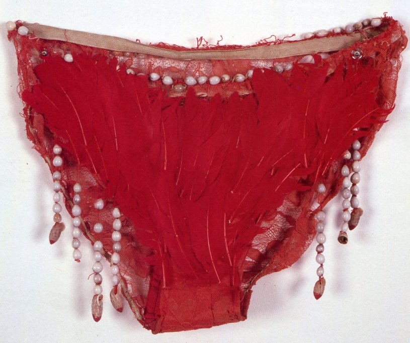 Jimmie Durham, Pocahantas Underwear, 1985.